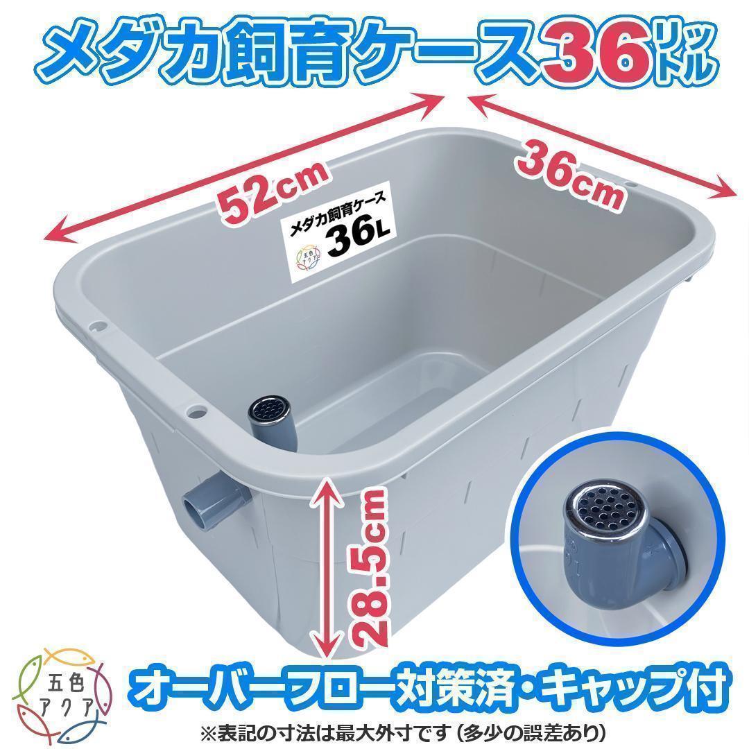 【新仕様】メダカ飼育ケース 36㍑x4個（4色あり）オーバーフロー対策済 金魚