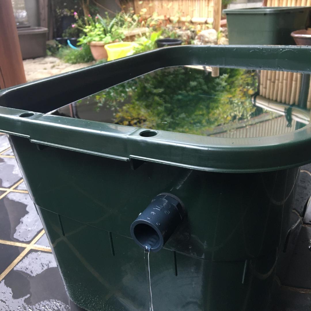 【新仕様】メダカ飼育ケース 36㍑x4個（4色あり）オーバーフロー対策済 金魚