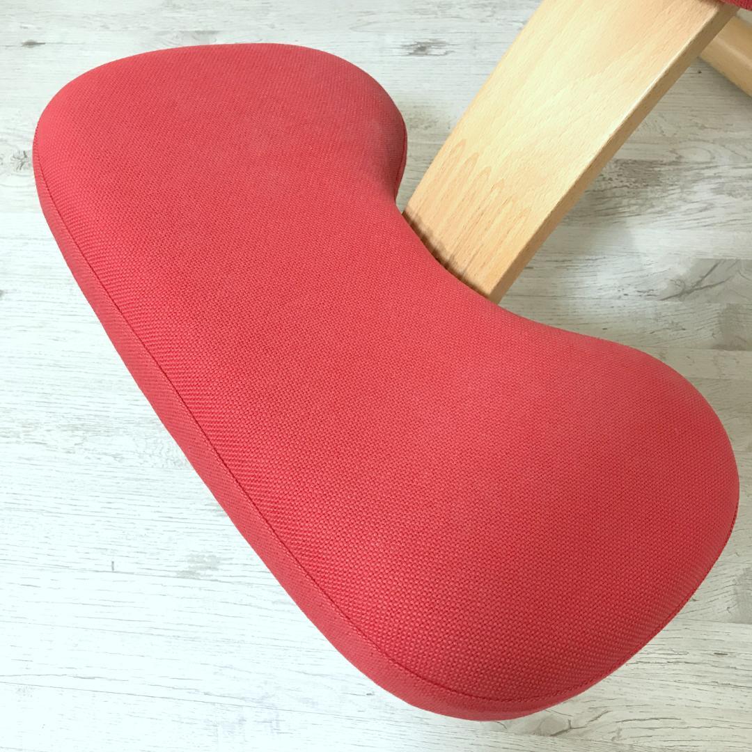 【美品】バランスイージー サカモトハウス Rybo社 バランスチェア 純正カバー