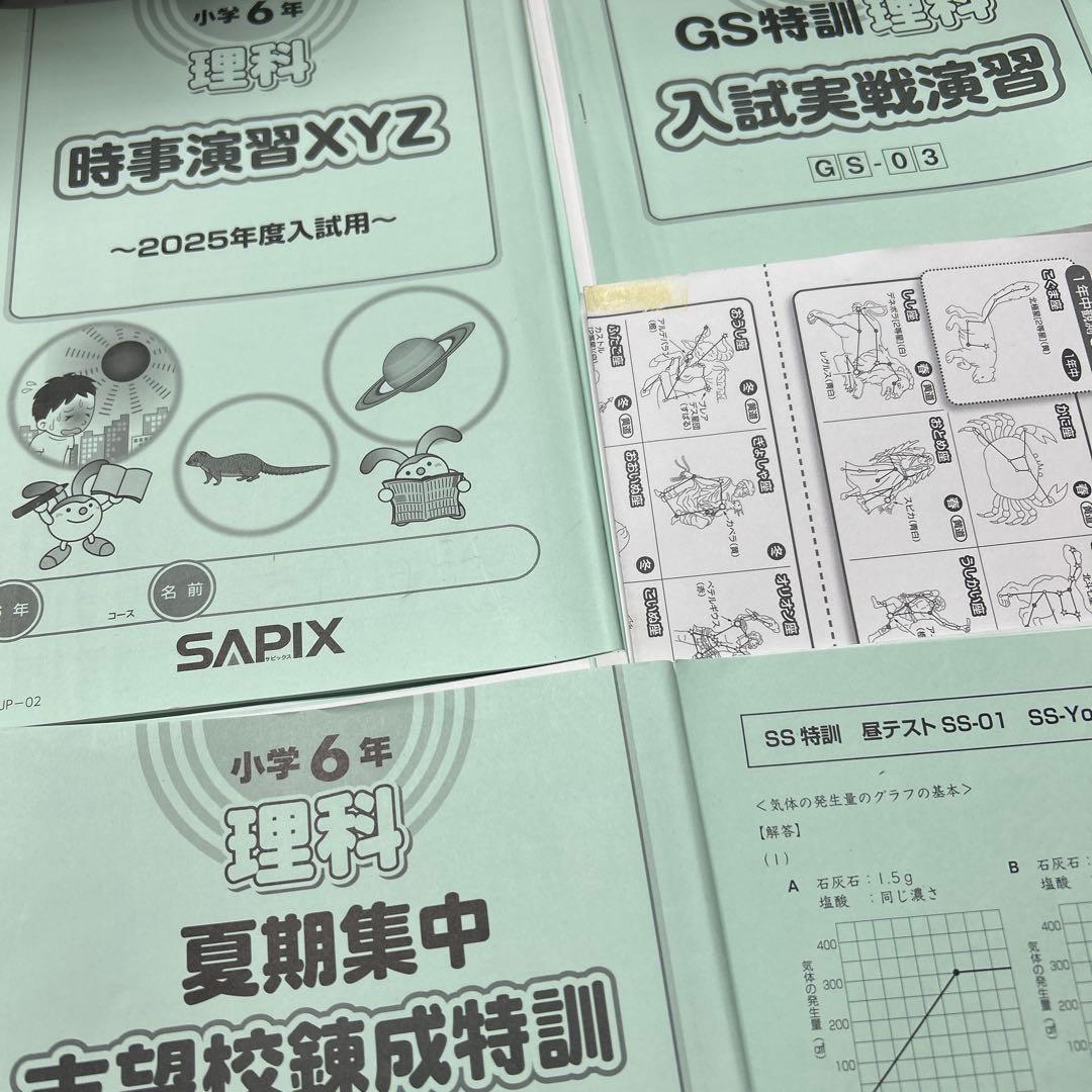 ㉔た　サピックス　SAPIX 6年　理科　特訓　フルセット