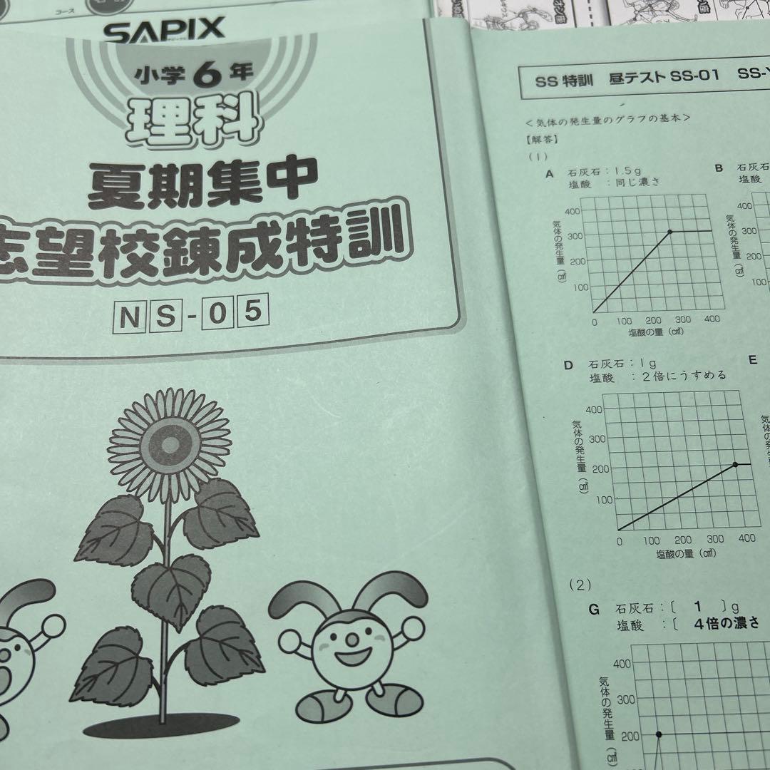 ㉔た　サピックス　SAPIX 6年　理科　特訓　フルセット