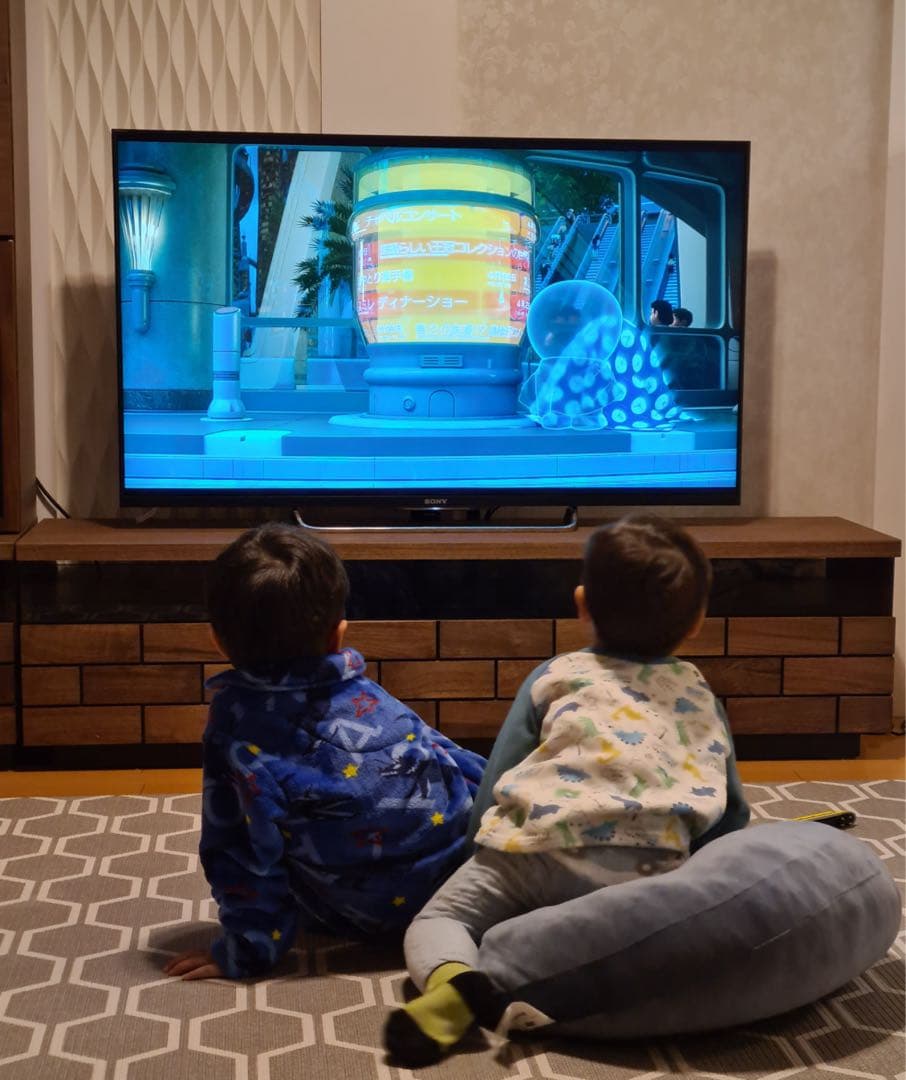 美品‼️ SONY 液晶テレビ KDL 50W 800B 50型 ソニー