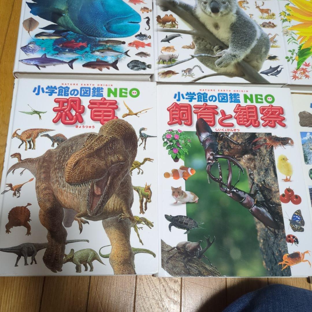 小学館の図鑑　NEO 12冊セット