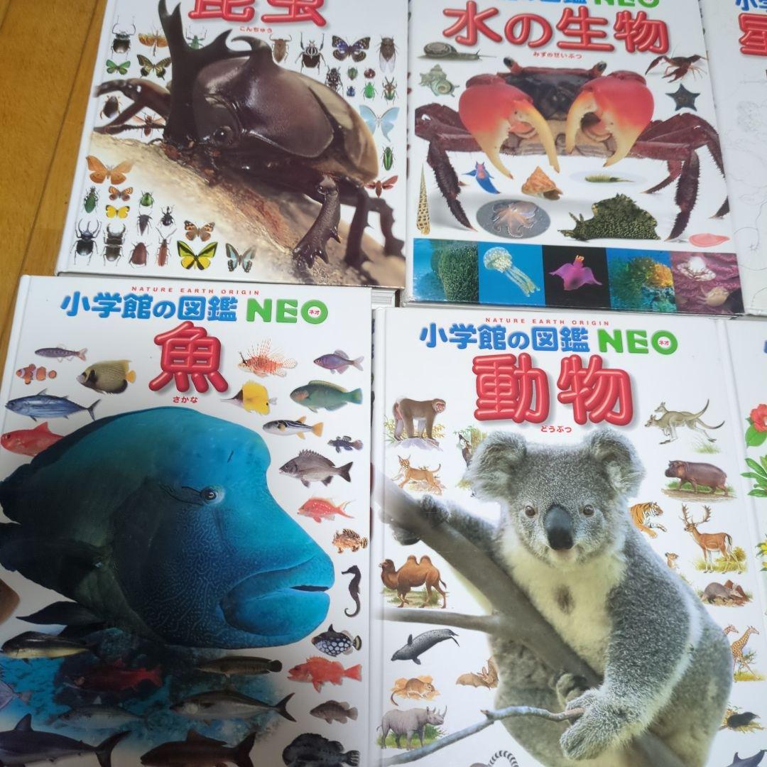 小学館の図鑑　NEO 12冊セット