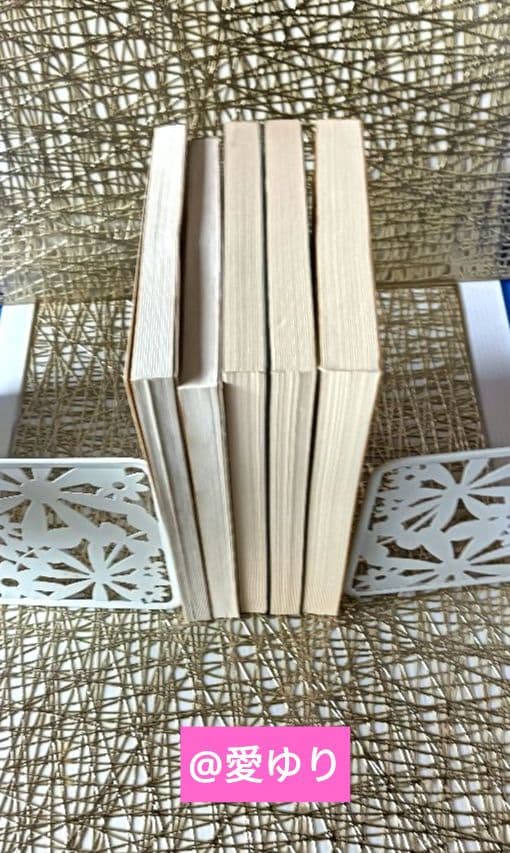 皇室献呈書✨非売品✨美品♦渡邊大起『オイカイワタチ』全５巻揃え⭐祝之神事⭐魂覚醒