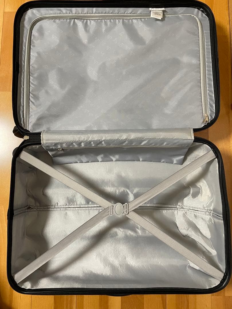 ダッフィー　AULANI キャリーケース