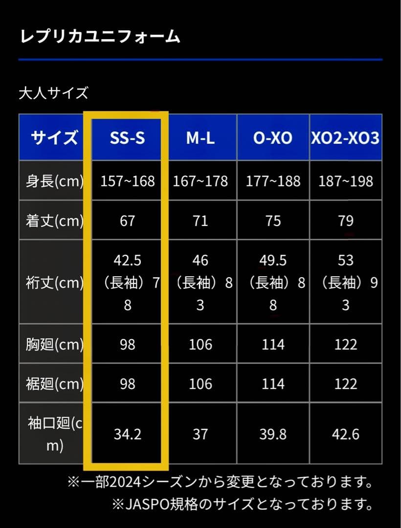 ガンバ大阪 2025 ユニフォーム #20 中谷進之介 Sサイズ