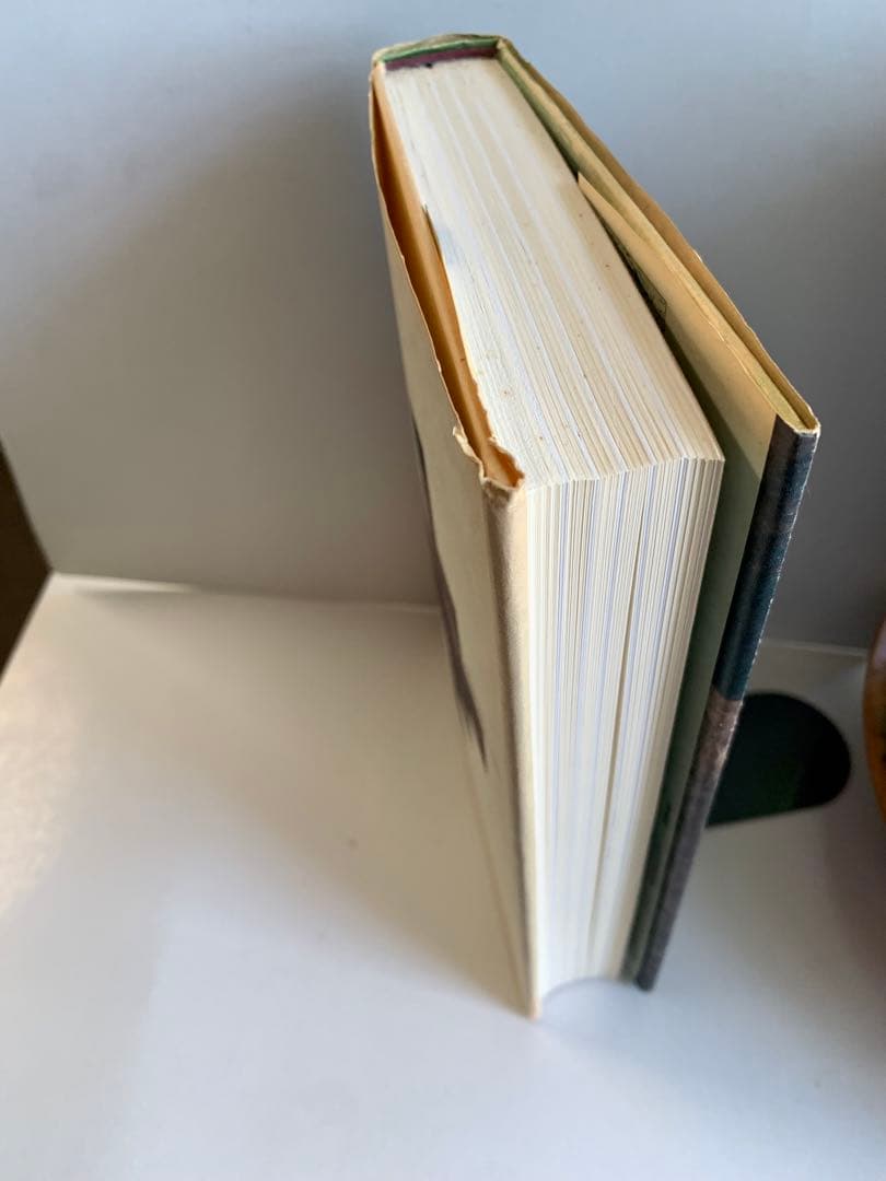 E・H・ゴンブリッチ「イメージと目」1991