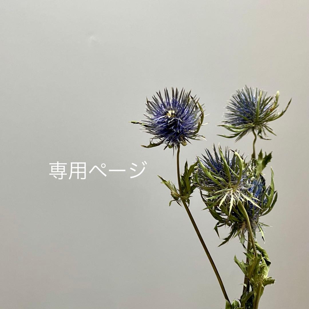 とり☆どり♪様⁂