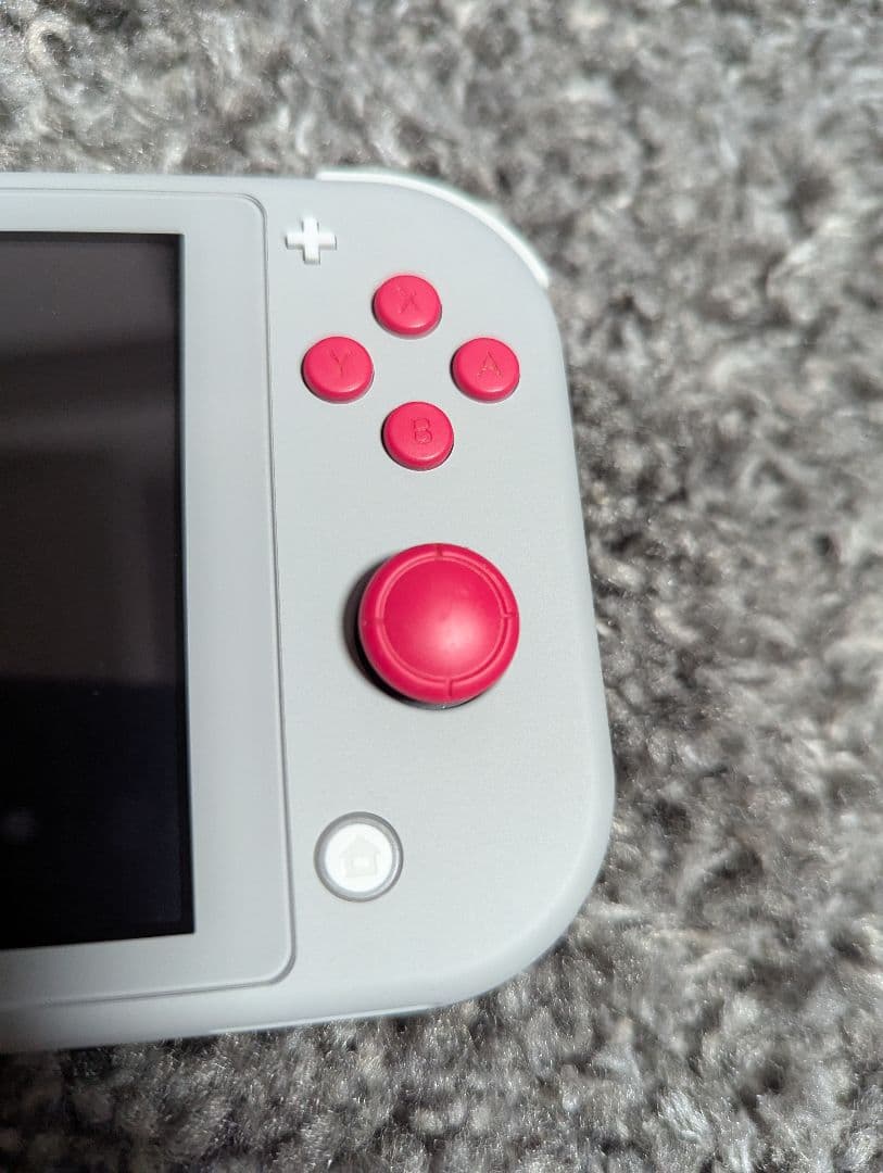 箱あり美品　Nintendo Switch Lite ポケモン 特別デザイン