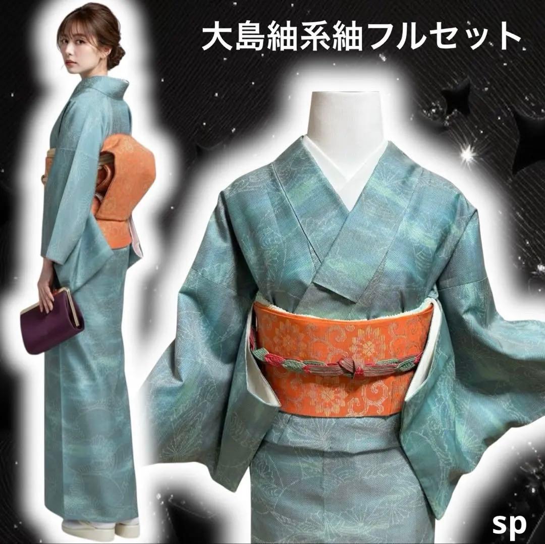 未使用近い　美品　袷　正絹　大島紬系　紬　小紋　フルセット
