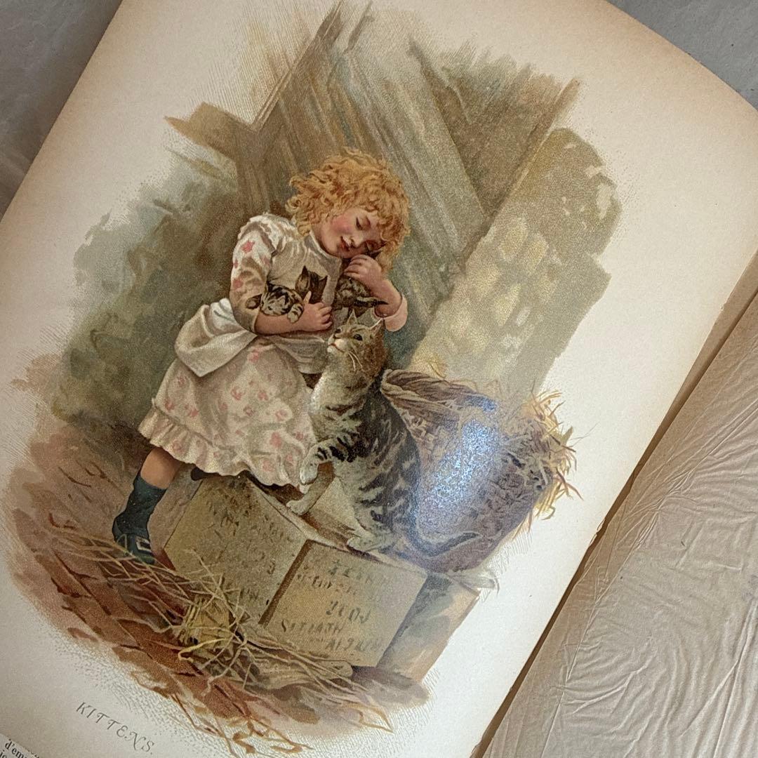 稀少1887年アンティーク美しいヴィクトリアン絵本　洋書ジャンクジャーナル古書