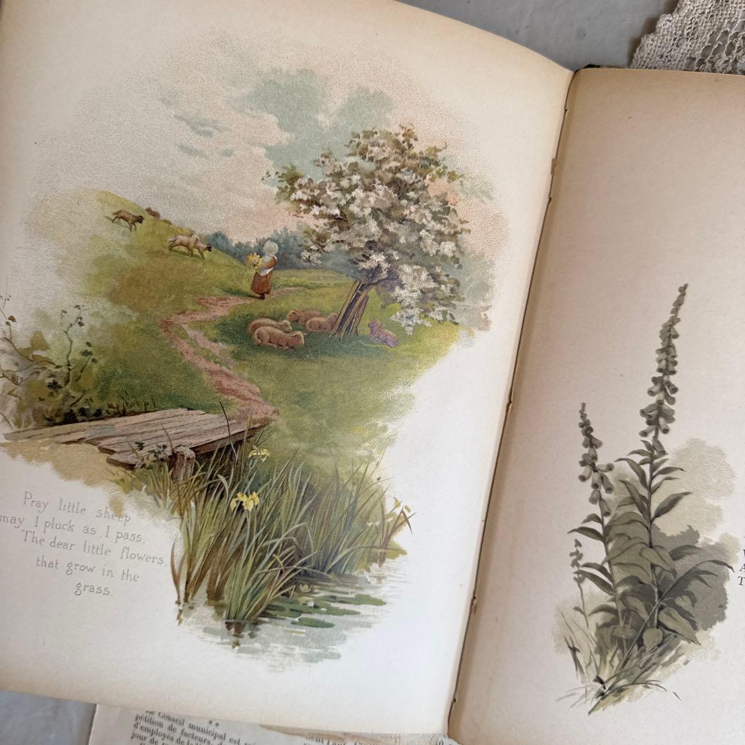 稀少1887年アンティーク美しいヴィクトリアン絵本　洋書ジャンクジャーナル古書