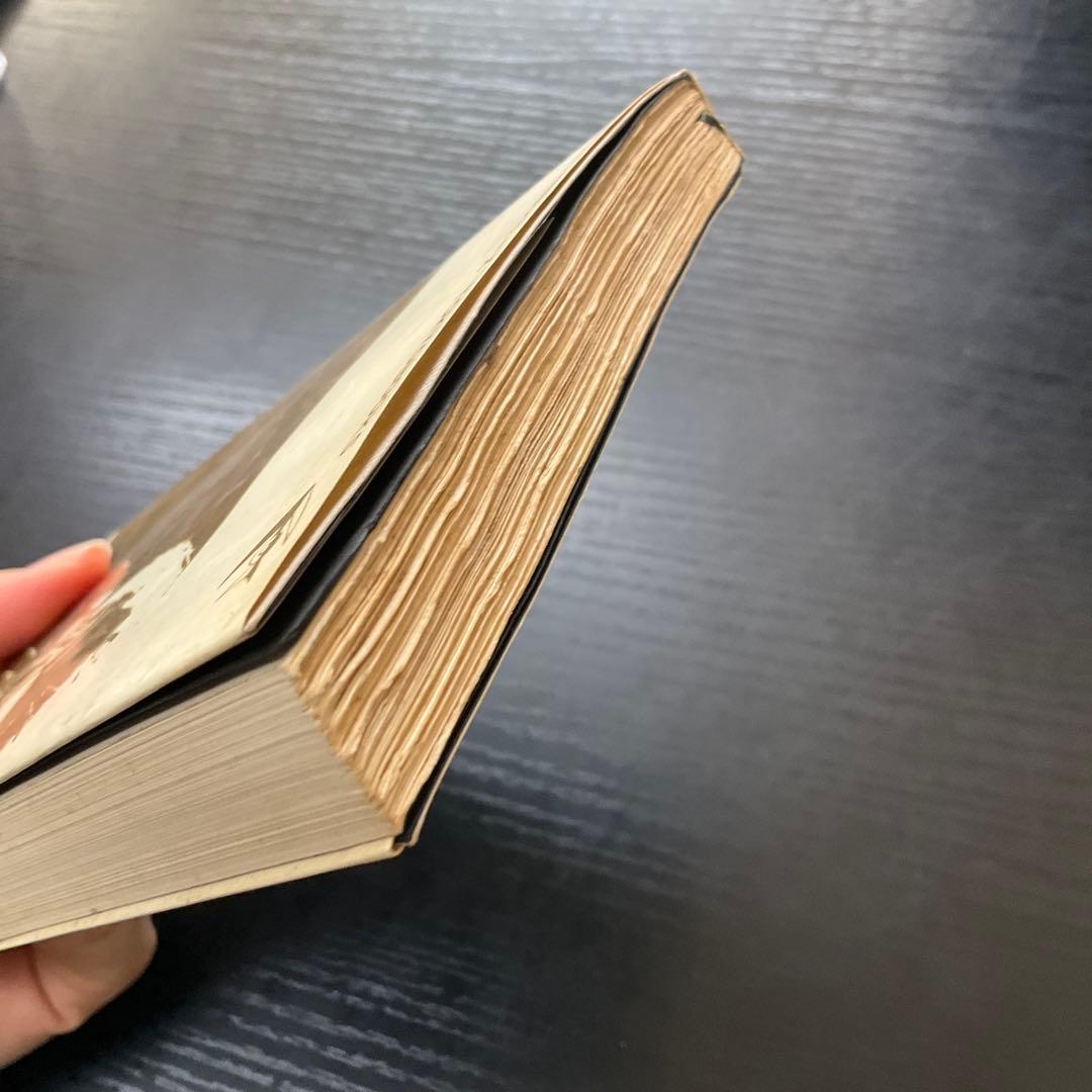 謀略者　佐賀潜　黒幕シリーズ　東京文藝社