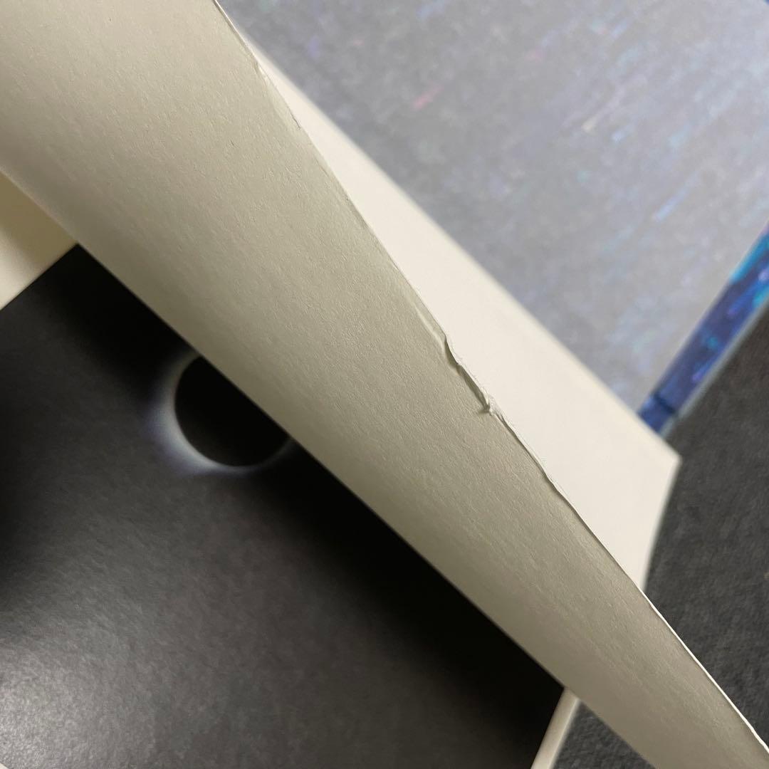 川内倫子 ILLUMINANCE 写真集