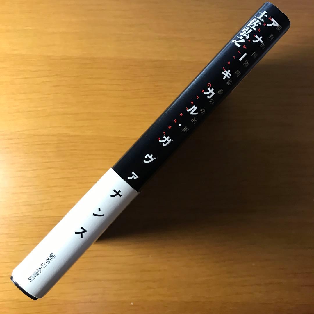 希少品　新品未読品「アナーキカル・ガヴァナンス : 批判的国際関係論の新展開」