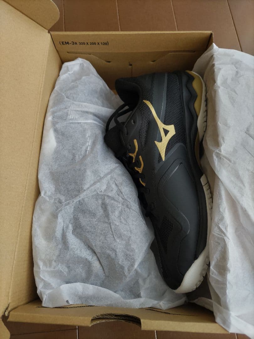 ミズノ テニスシューズ ウエーブエクシードライト2 WIDE 26.0cm