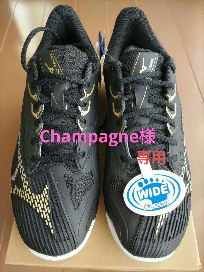 ミズノ テニスシューズ ウエーブエクシードライト2 WIDE 26.0cm