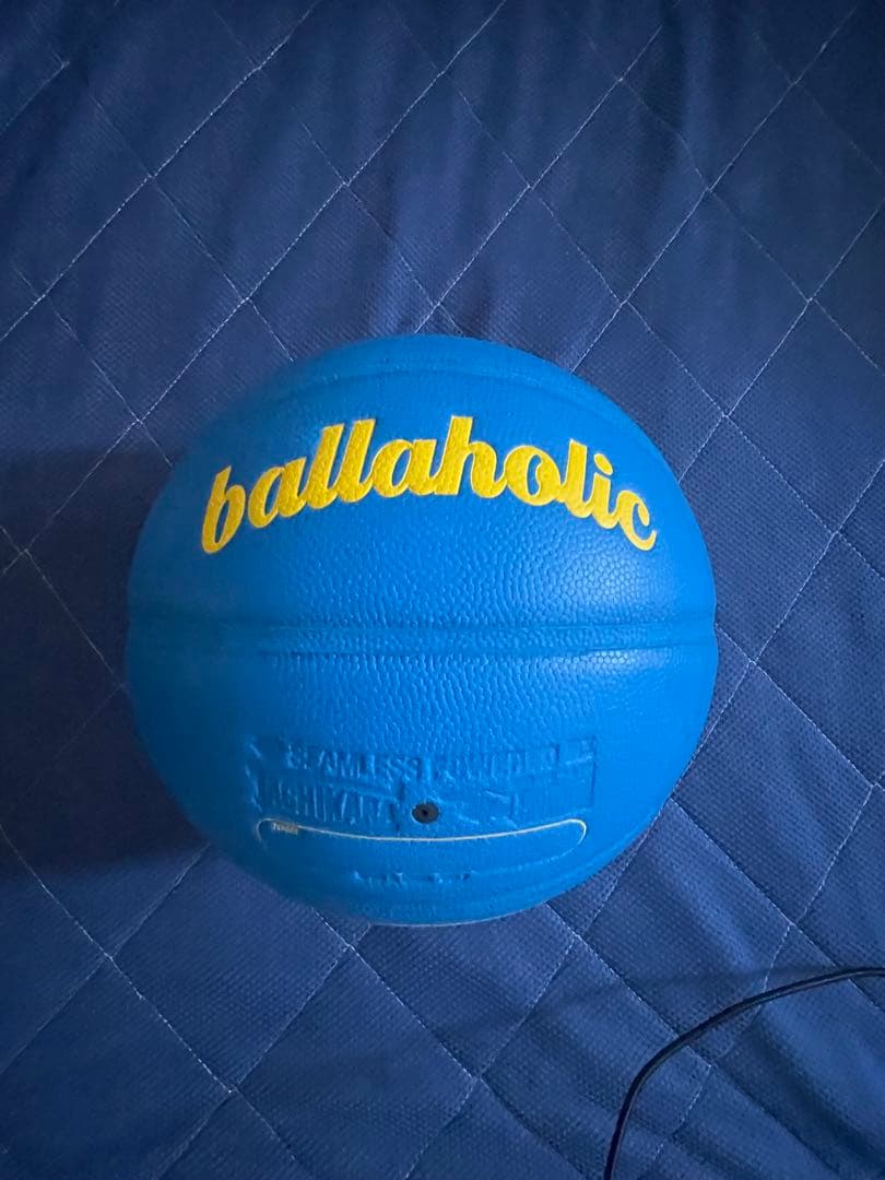 TACHIKARA Ballaholicバスケットボール　7号