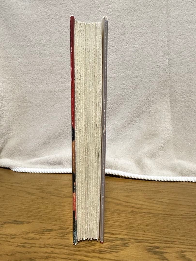 洋書1990年The Novel by Patricia CHANEL シャネル