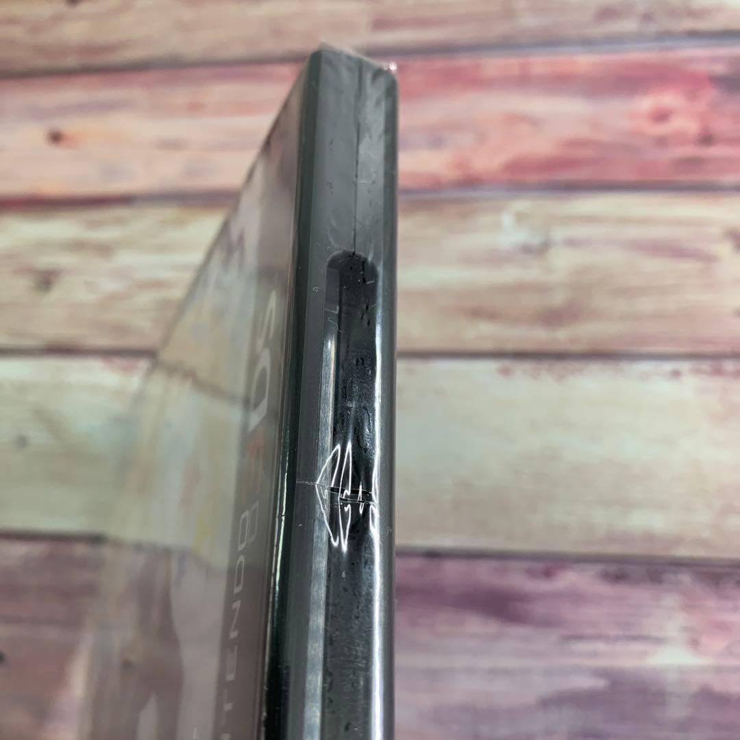 3DS  星霜のアマゾネス  未開封