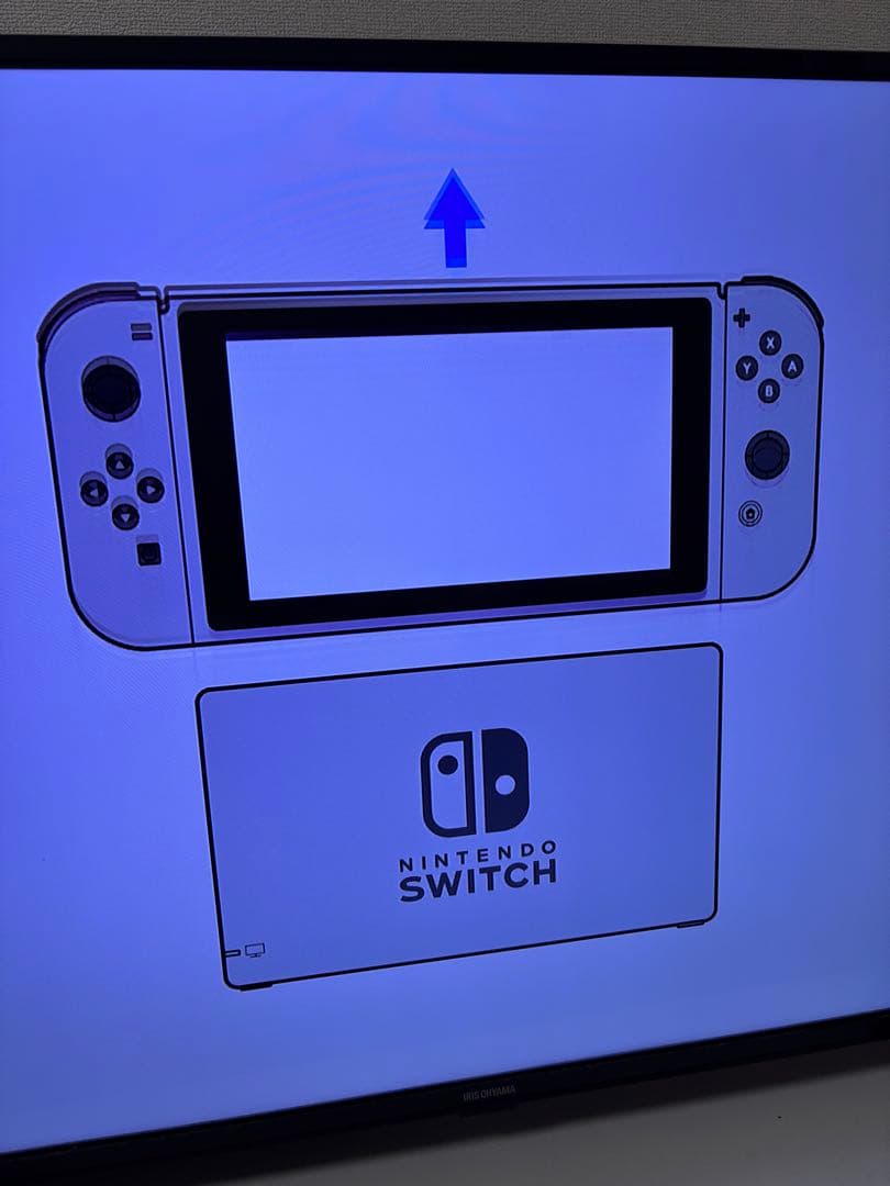 Nintendo Switch 本体 ブラック ACアダプター・マイク付