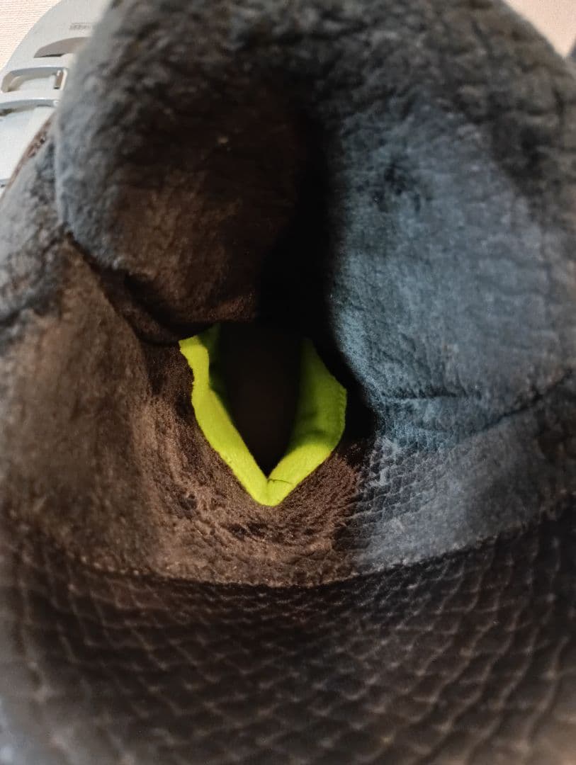 スキー ROSSIGNOL ALLTRACK PRO 120 LT GW 28.5