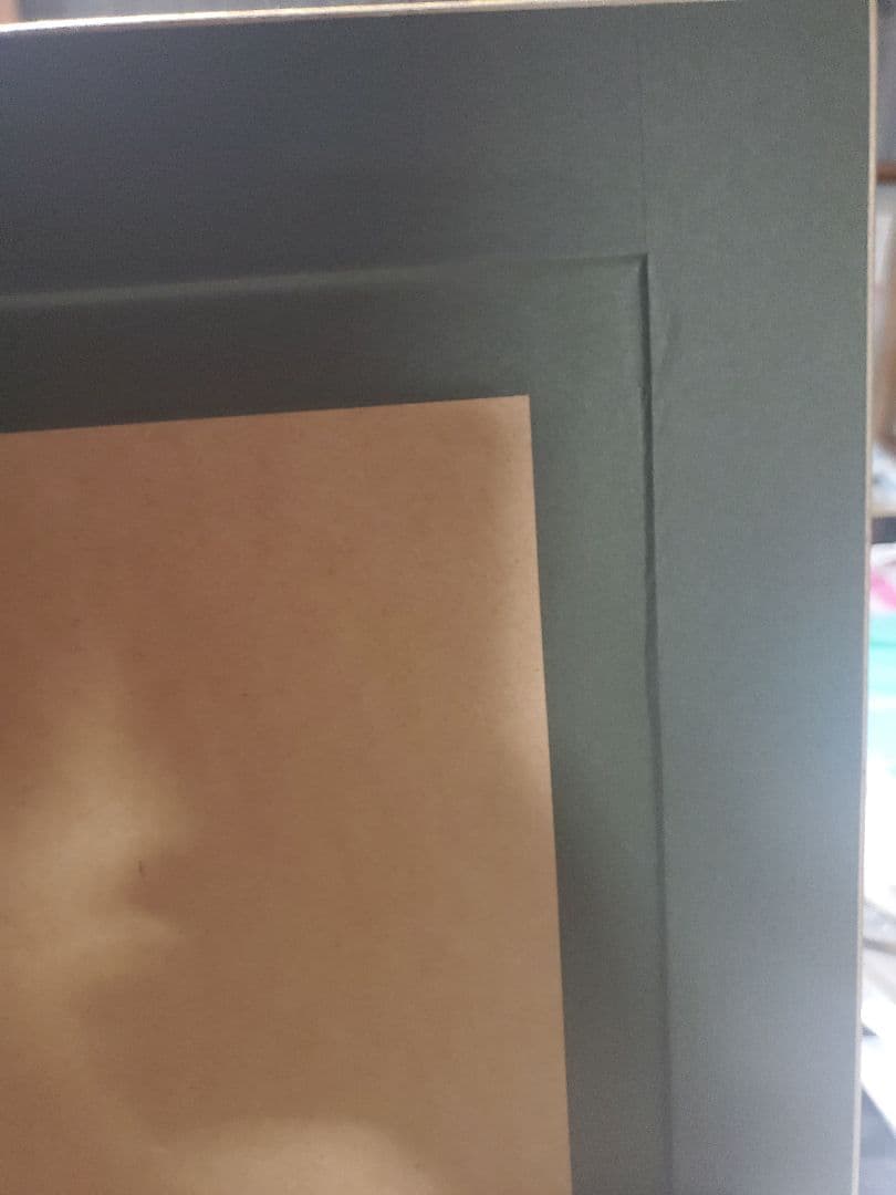 【○manmaru】いのまたむつみ 版画 コンドライト アールビバン