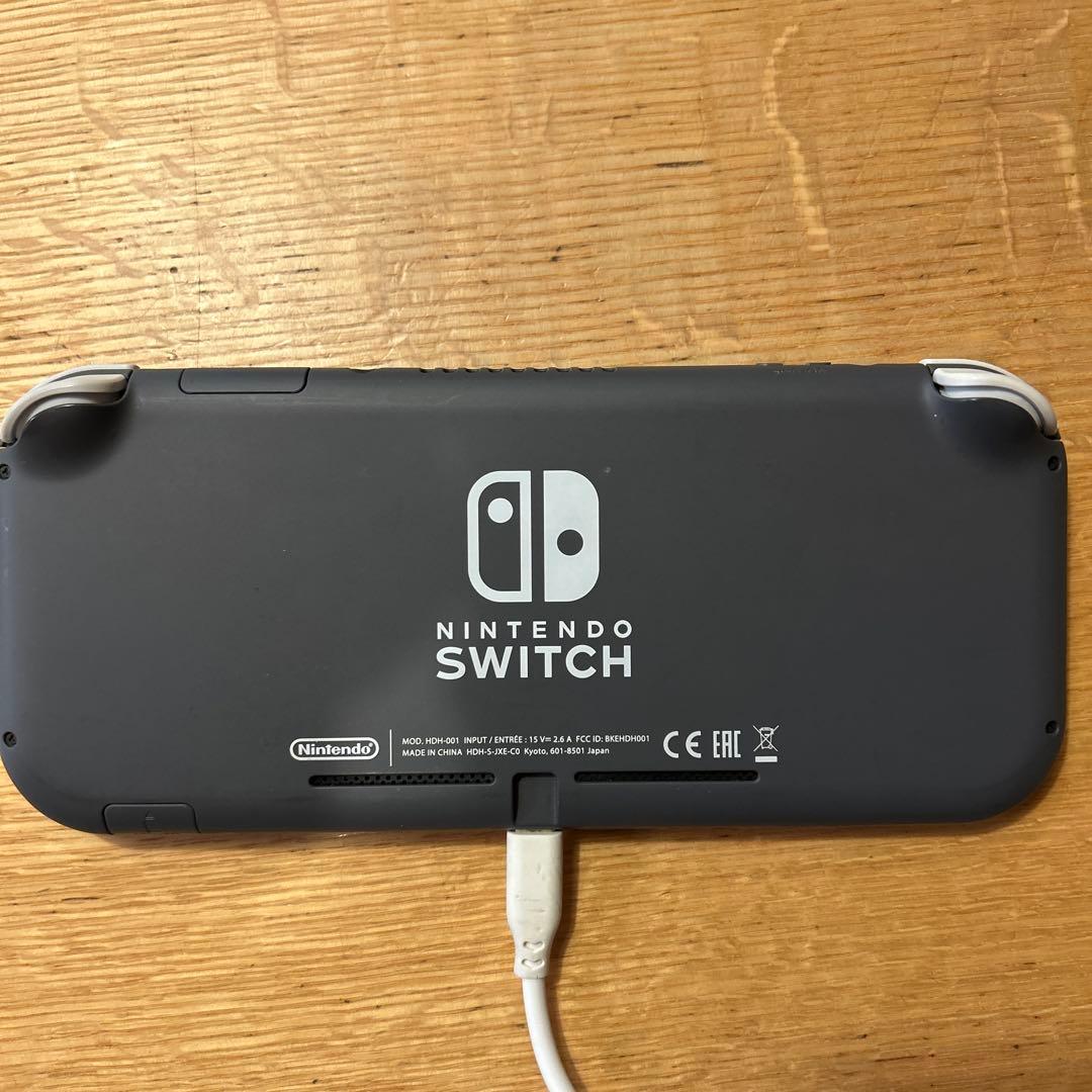 r*_様 Nintendo Switch Lite グレー 本体　箱無し　充電器