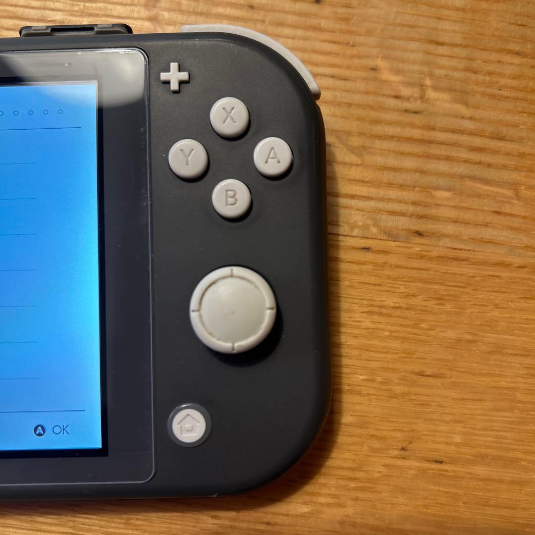 r*_様 Nintendo Switch Lite グレー 本体　箱無し　充電器