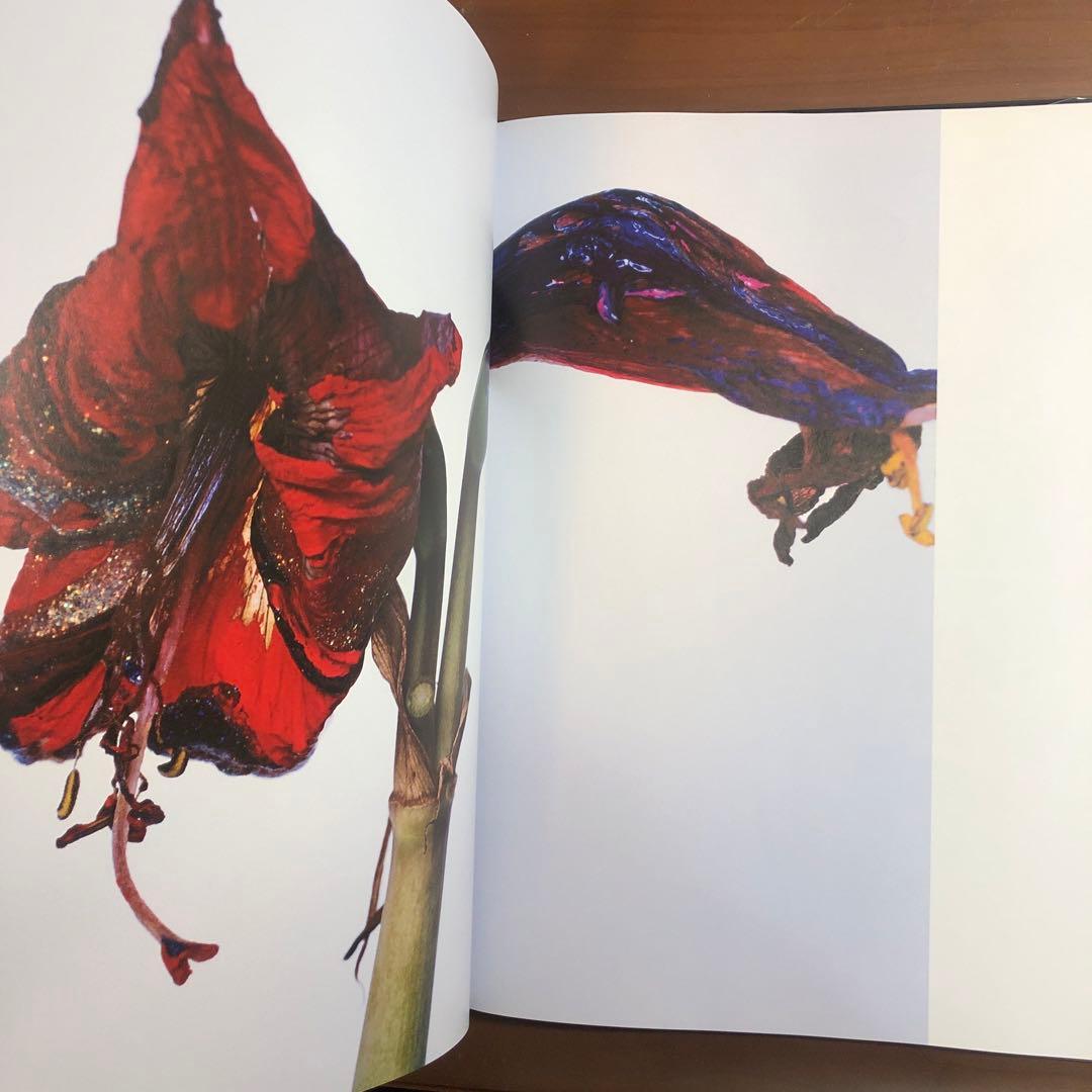 荒木経惟 (Portfolio)／Nobuyoshi Araki Stern