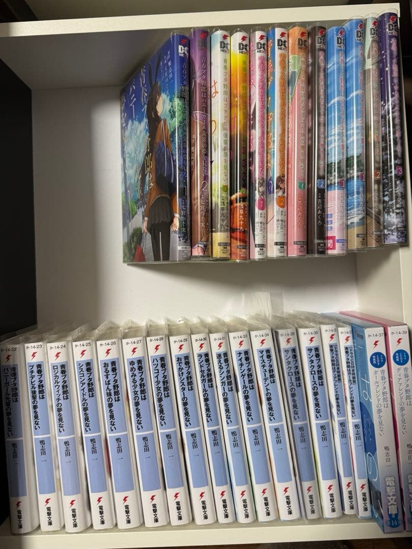 青春ブタ野郎シリーズ15巻セット＋コミカライズ全巻＋特典