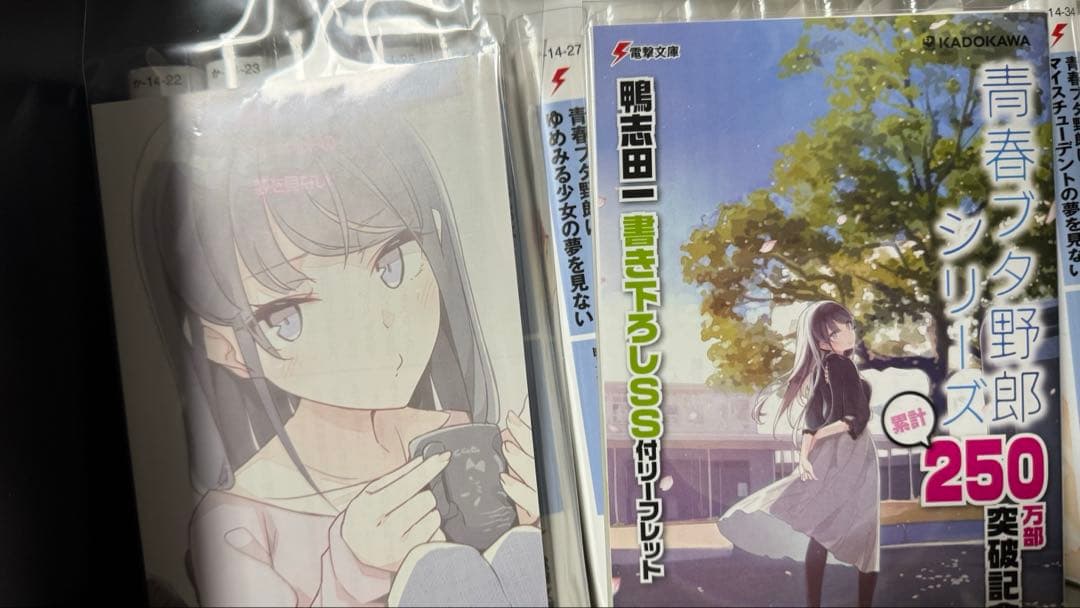 青春ブタ野郎シリーズ15巻セット＋コミカライズ全巻＋特典