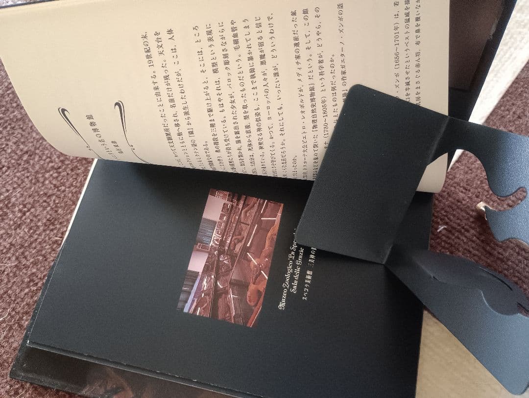 ANATOMIA BAROCCA アート・デザイン