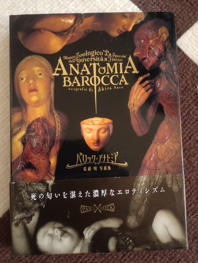 ANATOMIA BAROCCA アート・デザイン