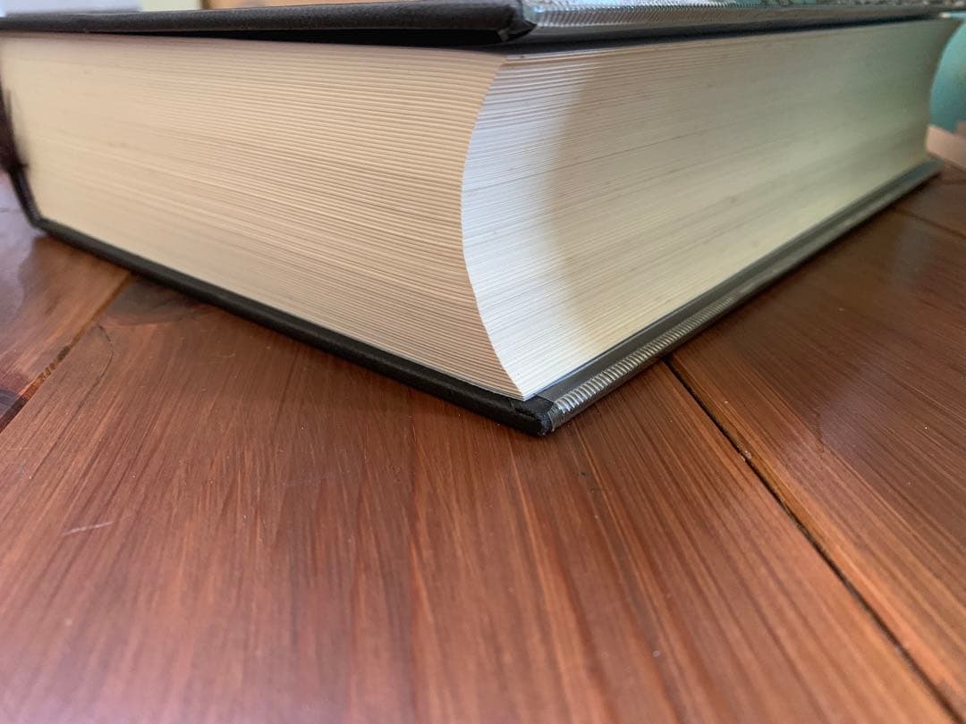 精神医学事典 第2版