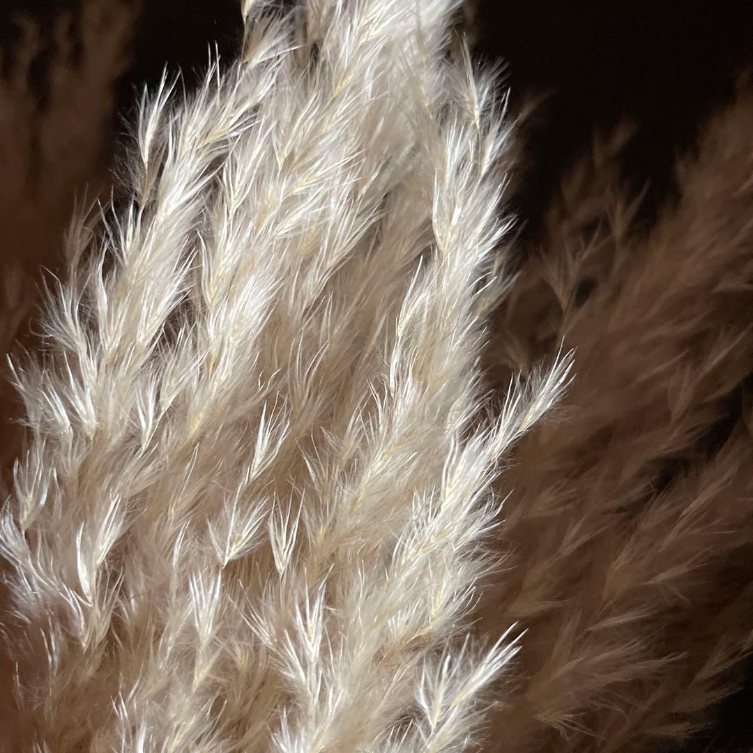 12月分専用ページ　240本