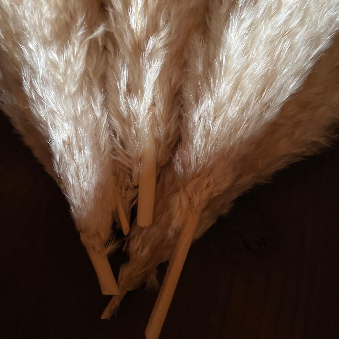 12月分専用ページ　240本