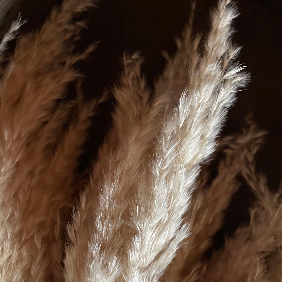 12月分専用ページ　240本