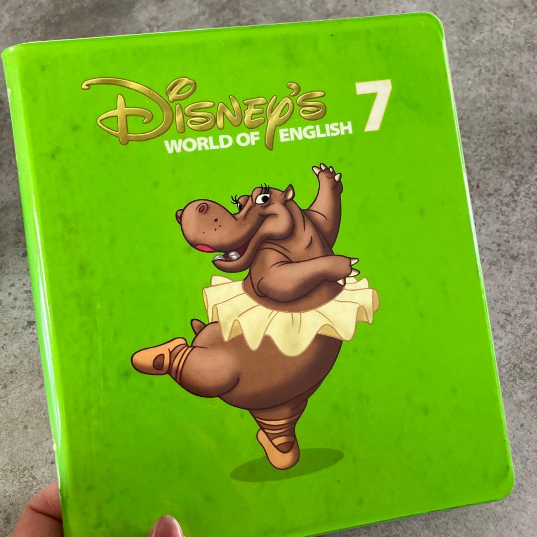 ディズニーワールドイングリッシュDVD12枚セット