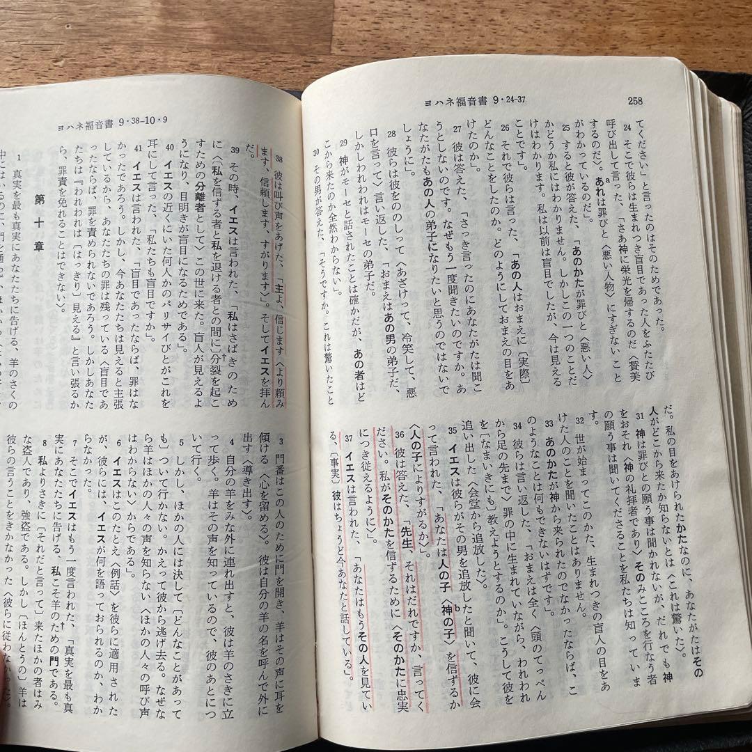 詳訳聖書 黒 金縁革装