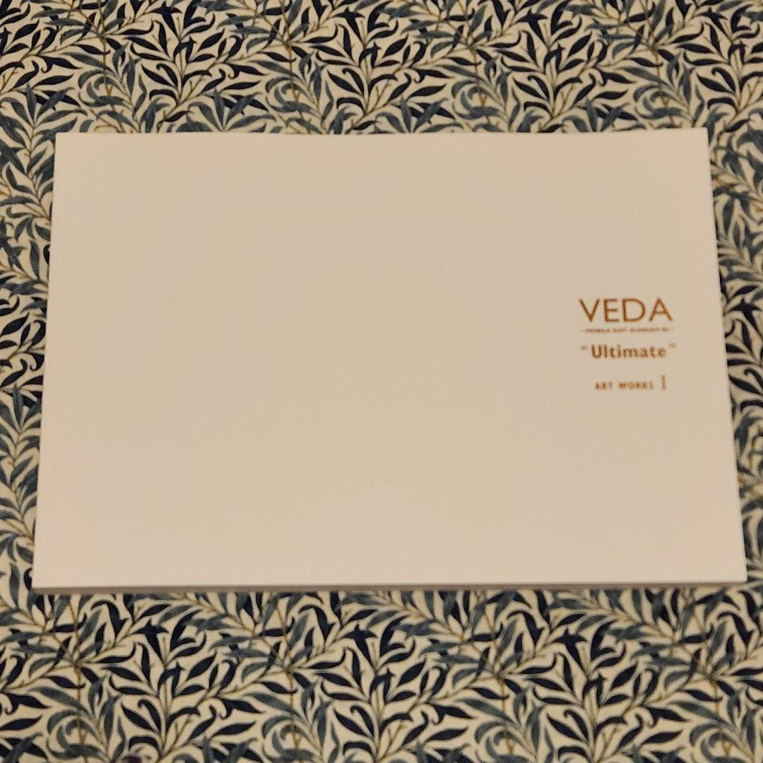 【受注限定生産】VEDA ガンダム00