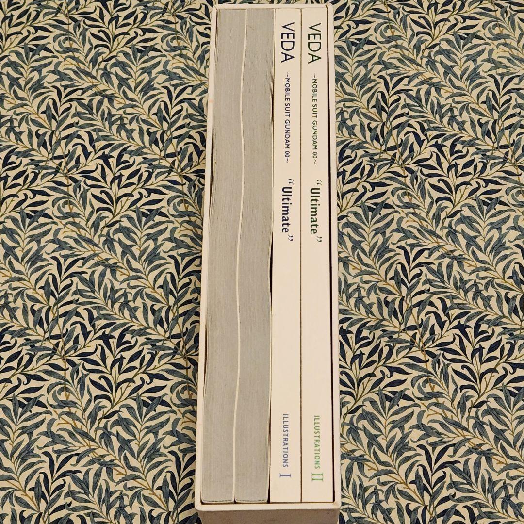 【受注限定生産】VEDA ガンダム00