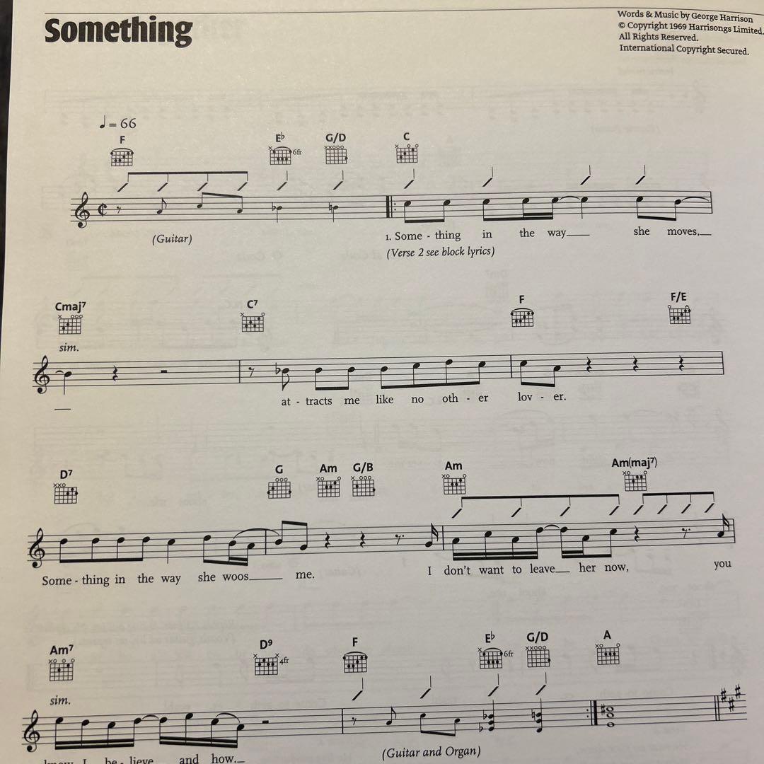 洋書 THE BEATLES PHENOMNON