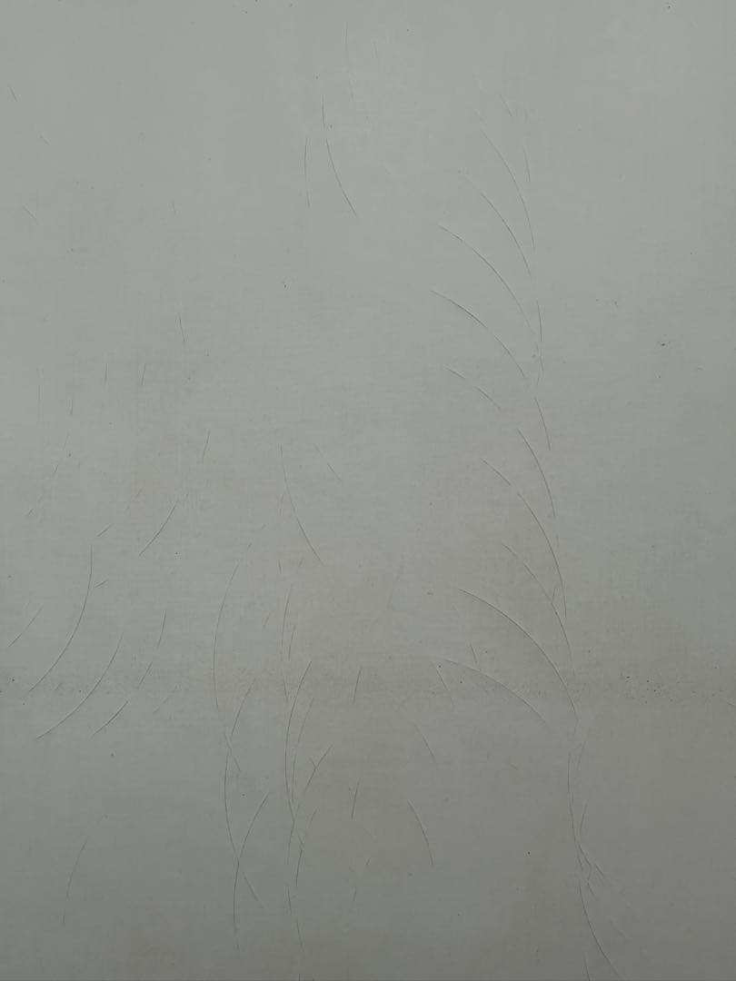 サーフボード　ファンボード　7.2 NSP 現状