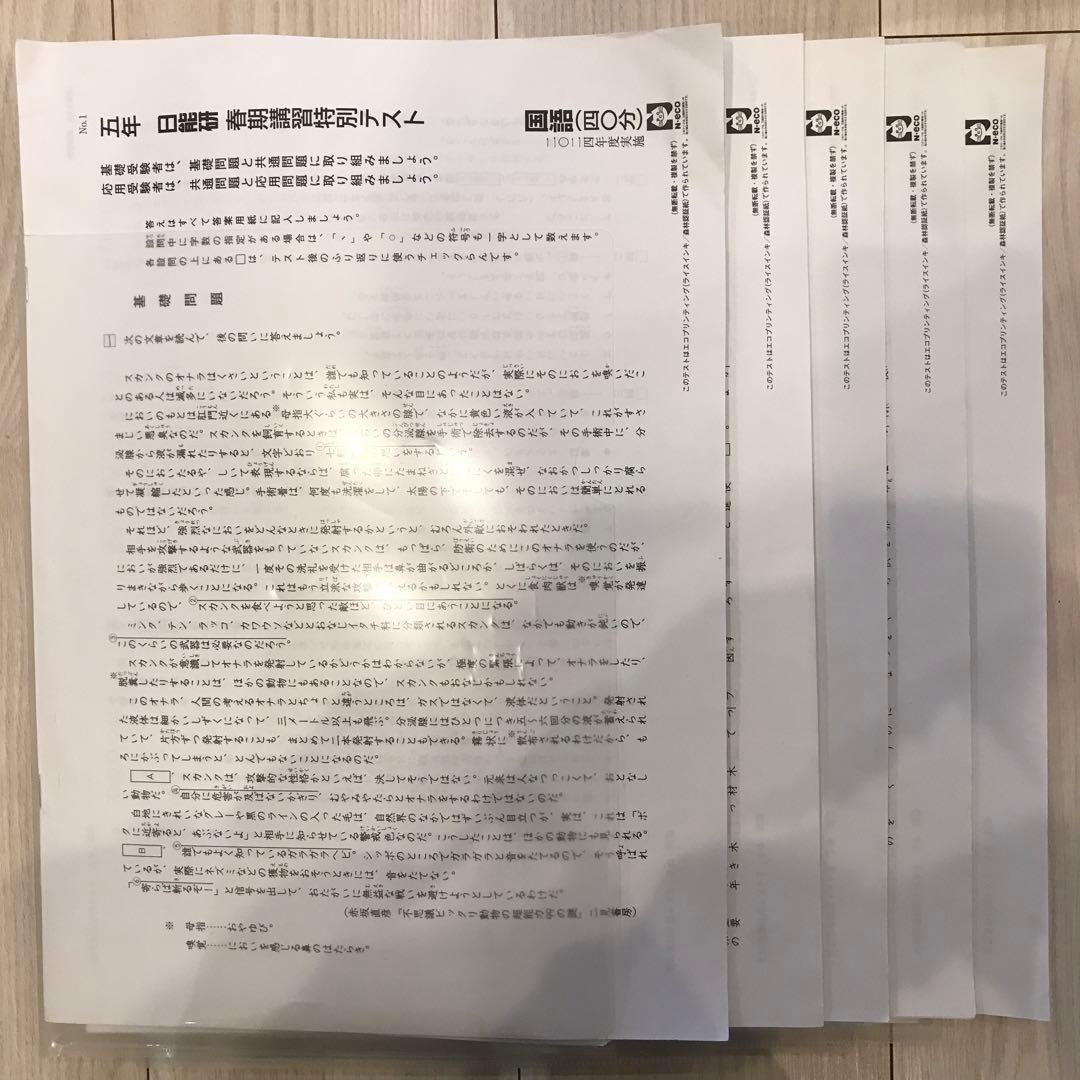 2024年度　日能研　５年生　学習力育成テストなどフルセット