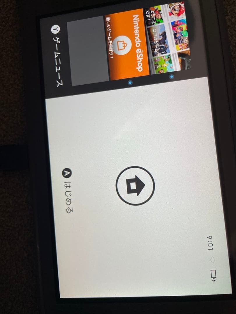 Nintendo Switch Lite グレー 本体(起動確認済)