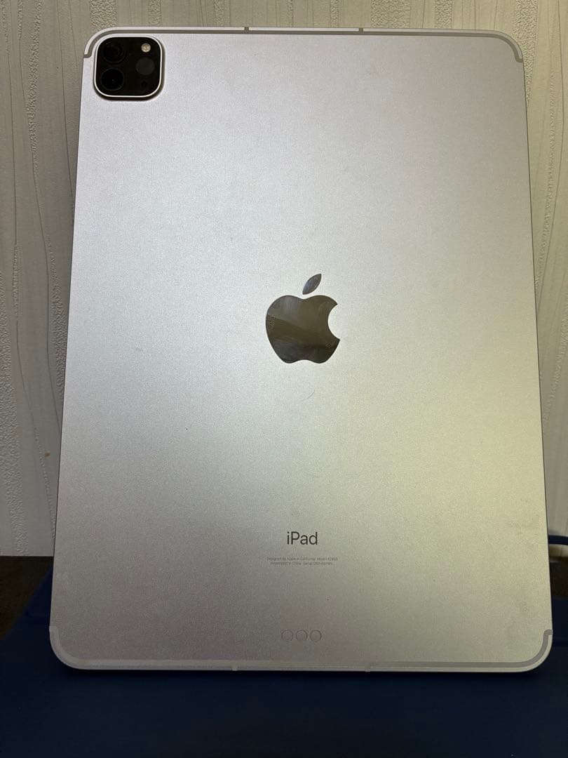 【早い者勝ち】iPad Pro 11インチ 第3世代 256GB