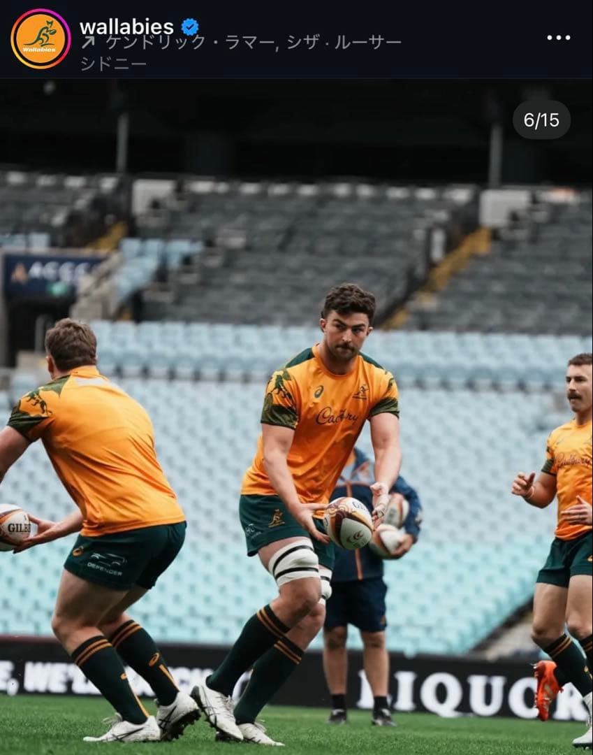 アシックス　オーストラリア代表 ワラビーズ　ライオンズツアーシャツ　L