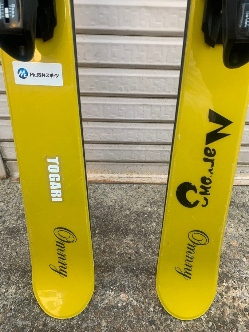 Vector glide スキー